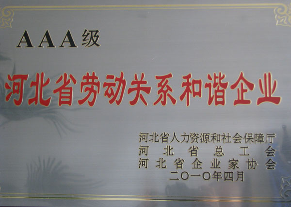 2010@ӱʡAAAڄ(dng)P(gun)ϵCI(y)